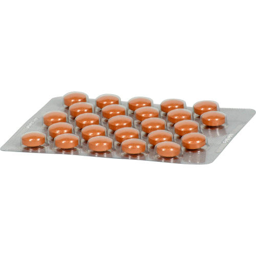 Angocin Anti Infekt N (200 stk.)