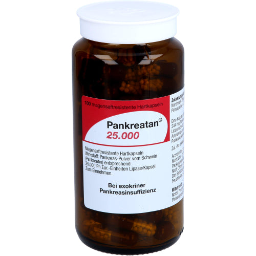 Pankreatan 25000 (100 Stück)