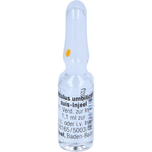Funiculus Umbilicalis SUIS INJ (10 Stk.)