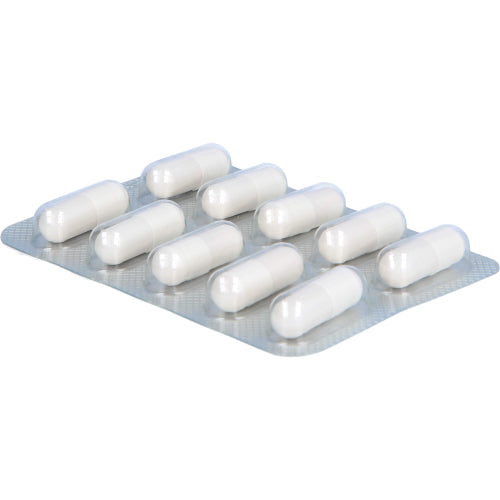 Yomogi 250 mg (20 Stück)
