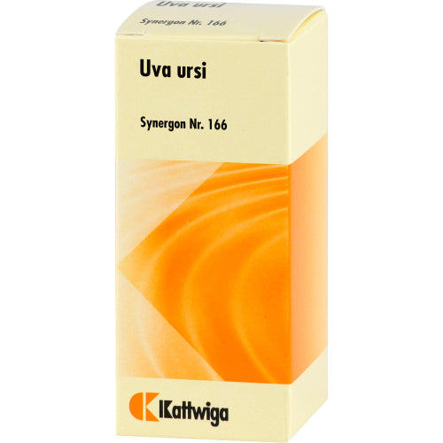 Synergon Kompl Uva Urs 166 (50 ml)