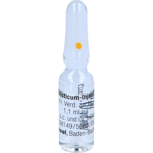 Causticum Injeel S (10 Stk.)