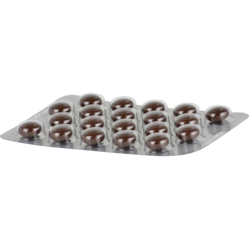 Ichthraletten (60 Stk.)