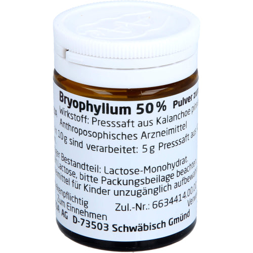 Bryophyllum 50 % (20 g)
