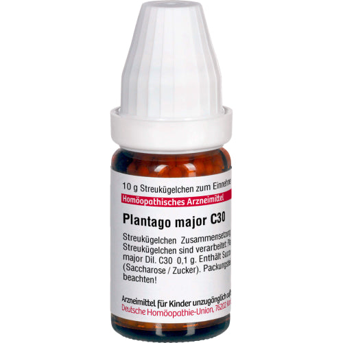 Plantago Major C30 (10 g)