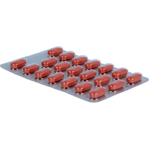 Ginkobil Ratio 120mg FTA (120 stk.)