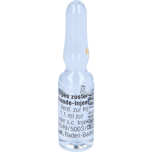 Herpes Zoster o.n.A. INJ (10 Stk.)