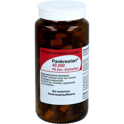 Pankreatan 40.000 (100 Stk.)