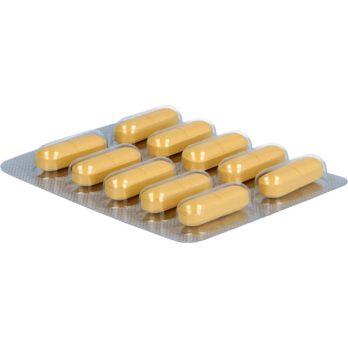 Salvysat 300mg FTA (90 Stk.)