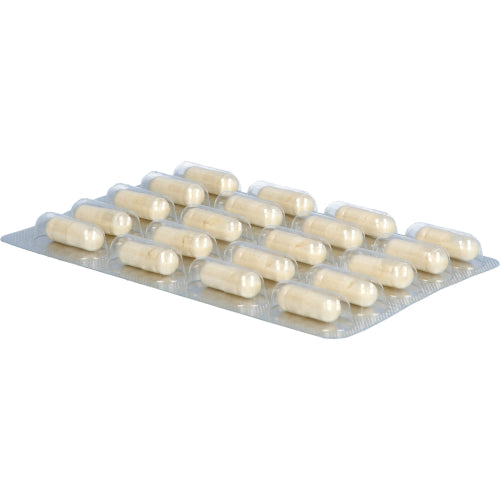 Darmflora Plus Select Intens (80 Stk.)