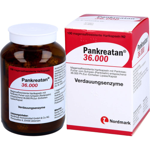 Pankreatan 36000 (100 stk.ück)
