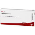 Sarothamnus Comp (10X1 ml)