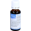 Pasconal Nerventropfen (20 ml)