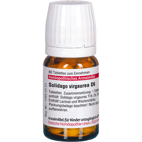 Solidago Virga D 6 (80 St.)