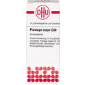 Plantago Major C30 (10 g)