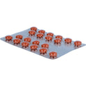 Umckaloabo 20mg Filmtabletten (60 Stk.)
