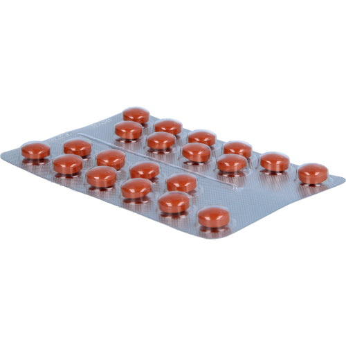 Umckaloabo 20mg Filmtabletten (60 Stk.)