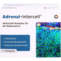 Adrenal Intercell (120 St.)
