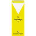 Solidago H 32 (50 ml)