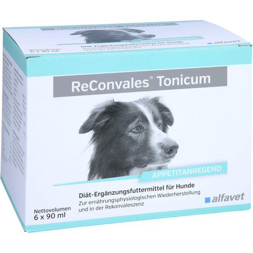 Reconvales Tonicum Hund (6X90 ml)