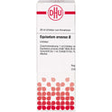 Equisetum ARV URT (20 ml)