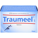 Traumeel S (250 St.)