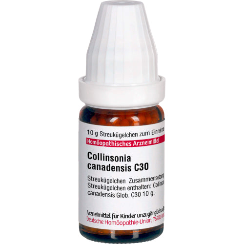 Collinsonia Canadensis C30 (10 g)