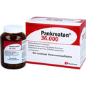 Pankreatin 36000 (200 Stk.)
