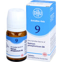 Biochemie 9 Natrium phosphoricum D 6 (80 Stk.)