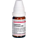 Eupatorium Perf C30 (10 g)