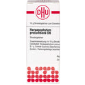 Harpagophytum Proc D 6 (10 g)