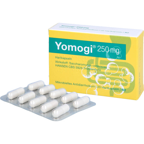 Yomogi 250 mg (20 Stück)