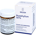 Bryophyllum 50 % (20 g)