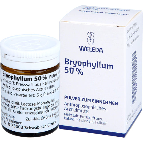 Bryophyllum 50 % (20 g)