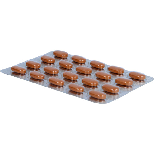 Tebonin Konzent 240mg (30 St.)
