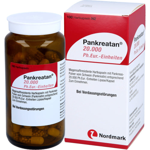 Pankreatan 20.000 Ph.Eur.-Einheiten (100 Stk.)