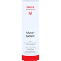 Lippenbalsam (30 g)