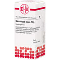 Sambucus Nigra C30 (10 g)