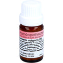 Berberis Vulgaris D6 (10 g)
