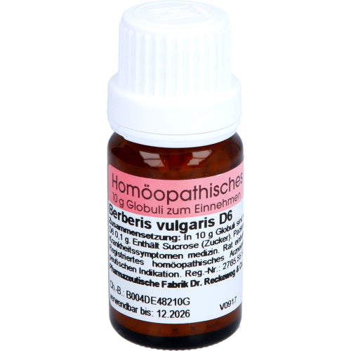 Berberis Vulgaris D6 (10 g)