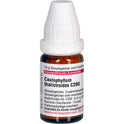 Caulophyllum THA C200 (10 g)
