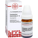 Caulophyllum THA D12 (10 g)