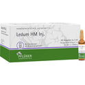 Ledum HM INJ (50 St.)