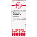 Cypripedium Pubesc D 6 (10 g)