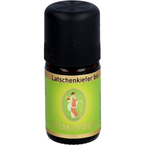 Latschenkiefer BIO (5 ml)