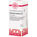 Echinacea Purpur D12 (10 g)