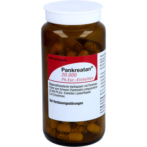 Pankreatan 20.000 Ph.Eur.-Einheiten (100 Stk.)