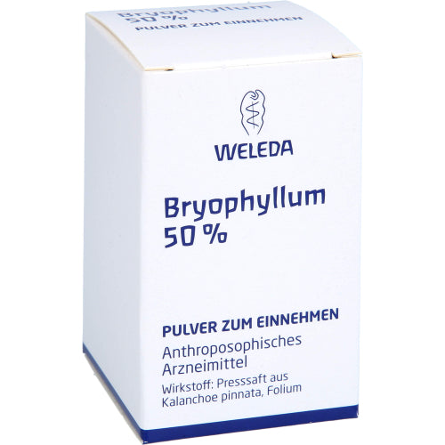 Bryophyllum 50 % (20 g)