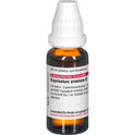 Equisetum ARV URT (20 ml)