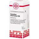 Ceanothus Americanus C30 (10 g)